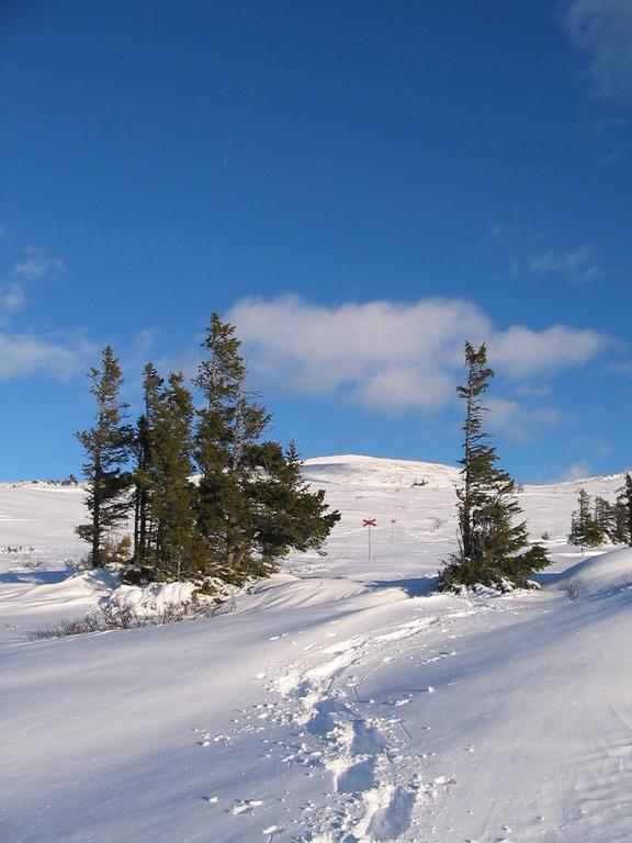 Valadalens Fjaellstation Hotel Luaran gambar