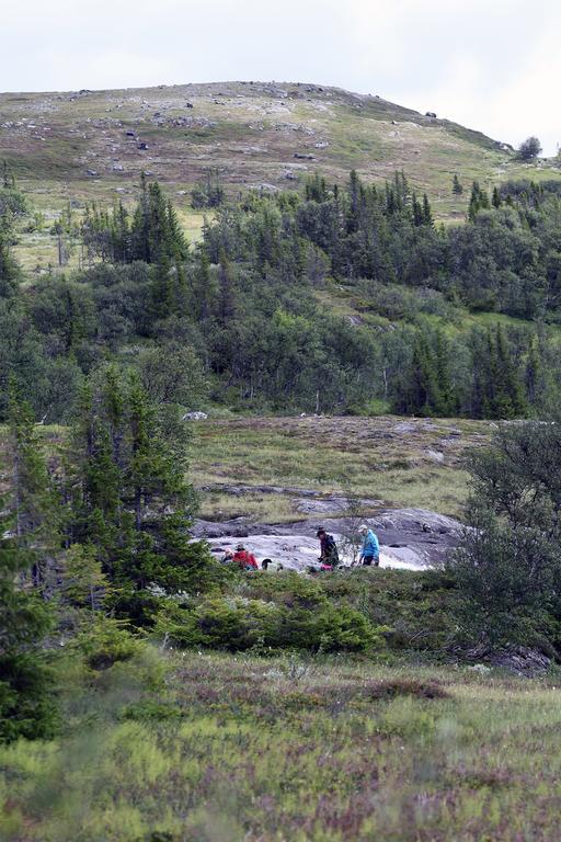Valadalens Fjaellstation Hotel Luaran gambar